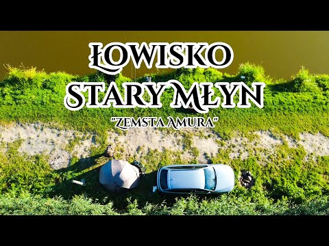 Łowisko Stary Młyn | Zemsta Amura | Szybka 48h zasiadka
