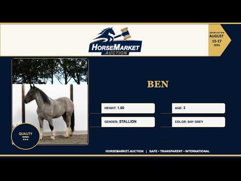 youtube preview