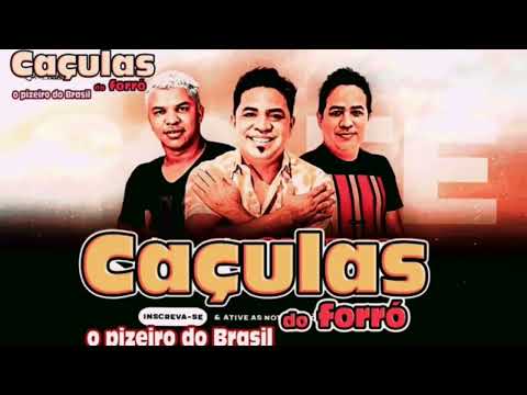 PLAY BOY CAÇULAS DO FORRÓ AO VIVO