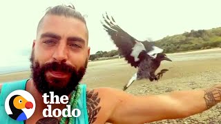 Baby Magpie Has The Sweetest Friendship With The Guy Who Rescued Him | The Dodo by The Dodo