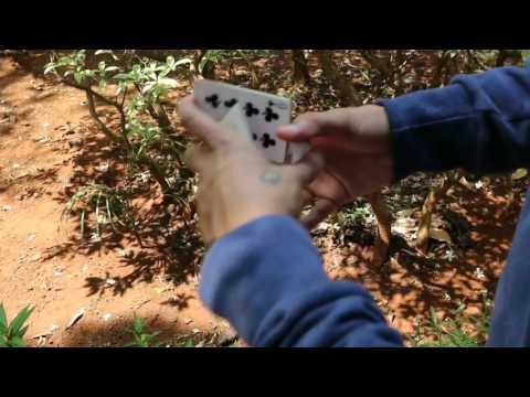 Magic Encarta Presents POPCAKE  by Vivek SInghi