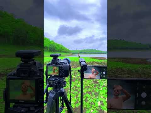 Nikon 70-300 mm lens vs 60X telephoto lens #short #shorts #ytshorts  #photography #camera #india