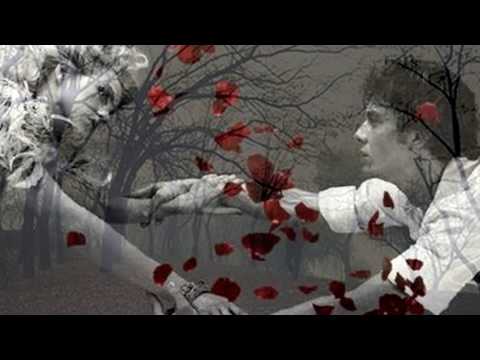 Mirabela Dauer & Marian Nistor -  Frunza mea albastra.