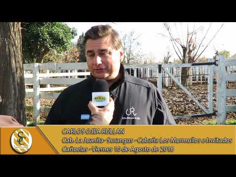 10-08-18 Carlos Ojea Rullán - Cab. La Juanita-Surangus - Cabaña Los Murmullos e Invitados - Cañuelas