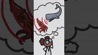 Sperm Whale Hunting Tactics — Full Breakdown & Transcript