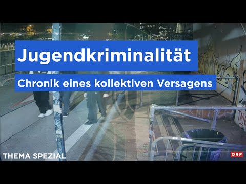 Jugendkriminalität: Chronik eines kollektiven Versagens | Thema Spezial 21.10.2024