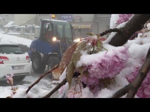 Video Thumbnail: Eis gegen Frost: Kälte-Einbruch macht Obstbäumen zu schaffen