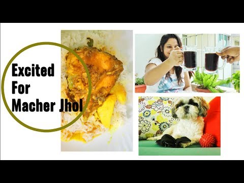 Excited For Macher Jhol | Sharing The Worst Experience Of My Life | Saturday Fullday Vlog Video