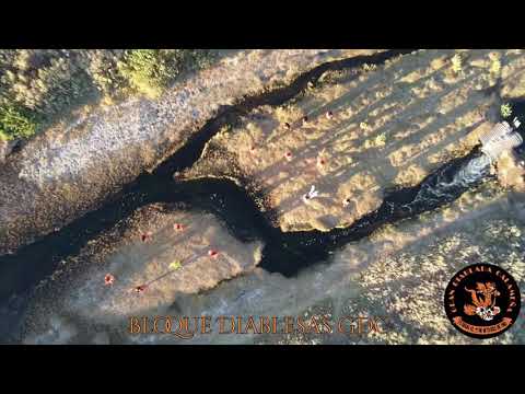 Bloque Diablesas - Gran Diablada Calameña