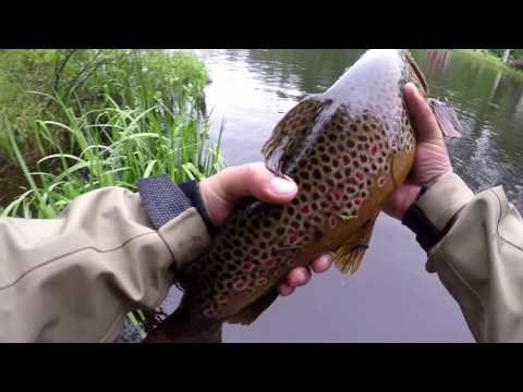 Pottu kalastaa vol 38- taimenen ja kuhan kalastusta /salmon trout and zander fishing
