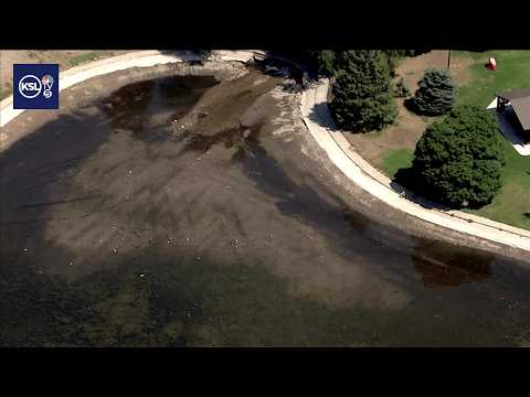 Sugar House Pond vanishes due to severe water shortage