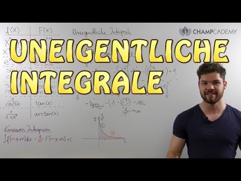 Uneigentliche Integrale: Arten + Beispiele
