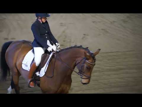 Dyrbols Lovely Daze, LB2