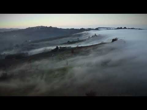 Nebbia sulle colline di Ricaldone