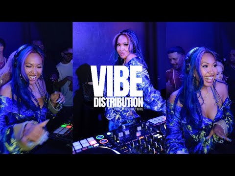 SUBLU- VIBE DISTRIBUTION VOL 16 