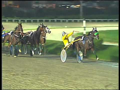 Trotto 26/11/2015 - 8° corsa TRIS