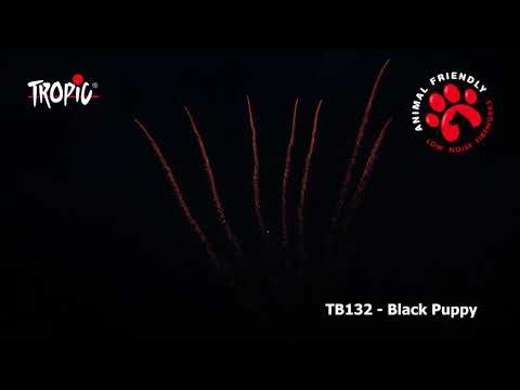 TB132 - Black Puppy - Animal Friendly TROPIC Fireworks, Fajerwerki, Feuerwerk, Feu d'artifice