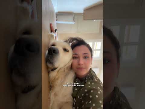 Toilettage partie 1 #dogshorts #dogvlog #dogwash