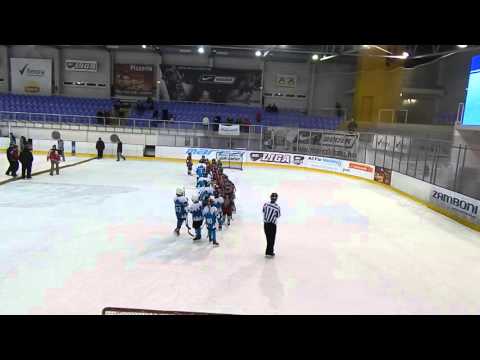 Sportországi Cápák-Vasas SC meccs  az UTE MiniB tornán. A győzelem ünneplése