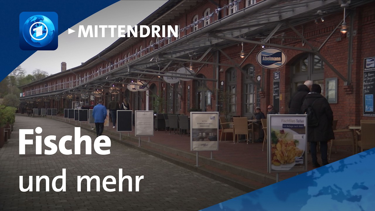 Bremerhaven: Der Wandel des Fischereihafens | tagesthemen mittendrin