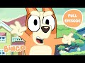 Bingo Magic Bluey Full Episode Bingo Official Channel