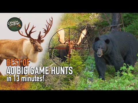 40 Canadian Hunts in 13 Minutes! (BEST OF HUNTING Compilation)