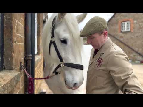Hook Norton Brewery Shire Horses