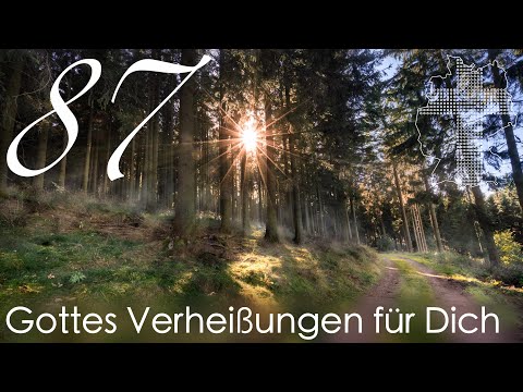 Gottes Verheißungen für Dich - 1. Johannes 5,13 | Videokalender 87/365 - Deutschland braucht JESUS