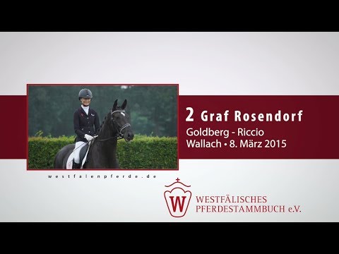 02 Graf Rosendorf  Wallach v. Goldberg - Riccio