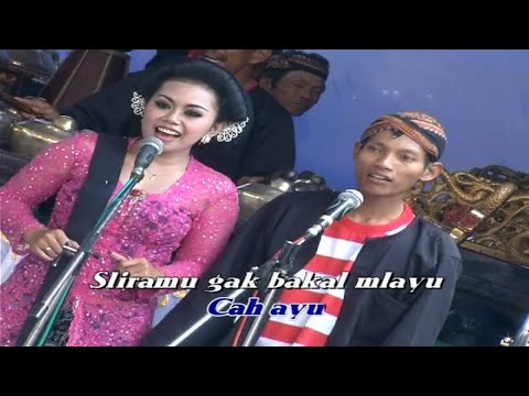 Jithul Sumarji - Cewek Lumajang ( Official Music Video )