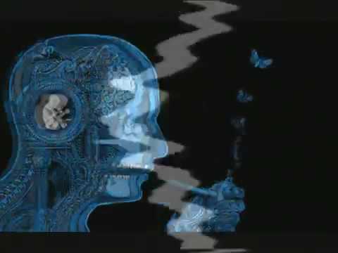 KERNEL PANIK SOUND   UNIVERSAL LINE  ELECTRO TECHNO BREAKS