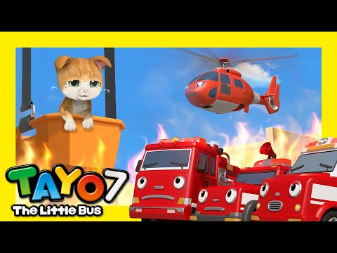 🚌タヨ 第7 シーズン 第14話 l 密着！レスキュー隊の１日 l ちびっこバス タヨ