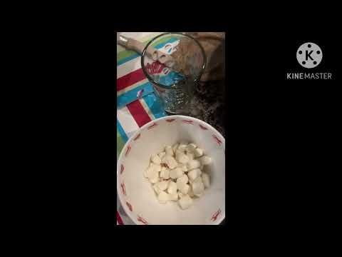 Chef Celena’s chocolate ice cream. special for David Layhe