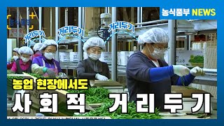 농업 현장에서도 사회적 거리두기는 계속됩니다.