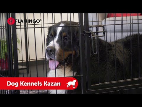 Dog Kennels Kazan - Flamingo Pet Products