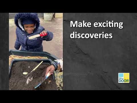 Slide 16 - Let's Investigate, Prehistoric Teeth, Set of 8 (video)