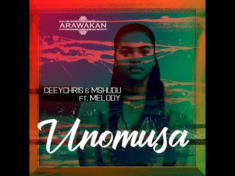 CeeyChris & Mshudu Feat Melody - Unomusa