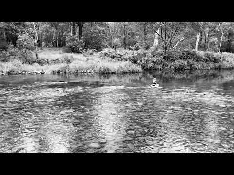 4x4 Adventure Touring - Dargo to Licola, Victoria - Day 2