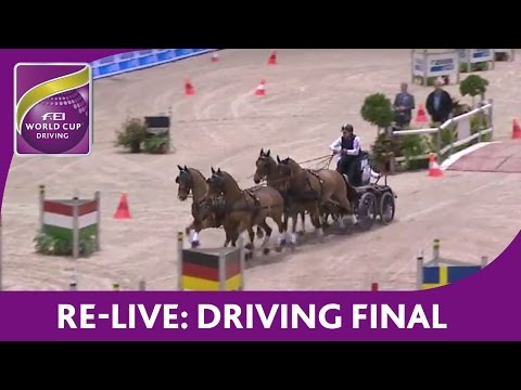 Re-Live - FEI World Cup™ Driving - FINAL - Bordeaux - Competition 1