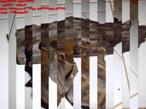 download lagu mp3 mp4 Kayu Kemuning Hitam Untuk Dijual, download lagu Kayu Kemuning Hitam Untuk Dijual gratis, unduh video klip Kayu Kemuning Hitam Untuk Dijual