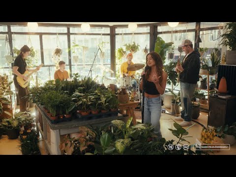 BRENKA - NEM VAGY VALÓ NEKEM