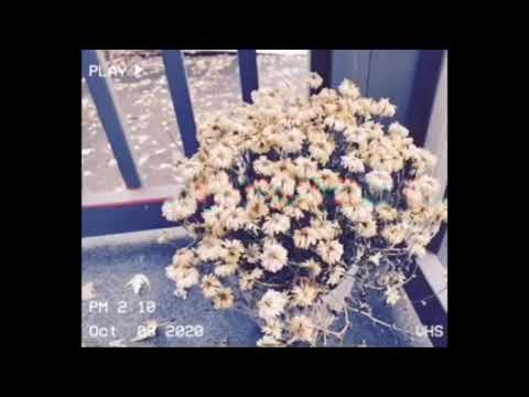 [FREE] Lil Lotus, Gaurdin, Acoustic Guitar Type Beat "Joyride" - Prod. Jolst X Svnam