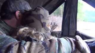 preview picture of video 'Colville,Washington/Youth turkey part 1 hunt 2013 /Fourtrack Hunting Adventures/ Taylor Marsall'