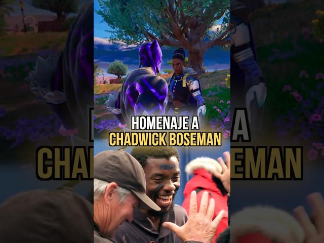 Vídeo relacionado con Black Panther Auriculares Controlador de Videojuegos Black Panther Sudadera