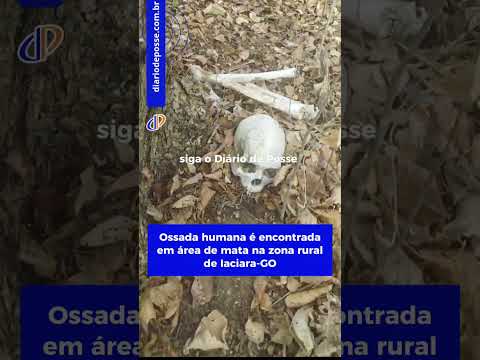 Ossada humana é encontrada em área de mata na zona rural de Iaciara-GO