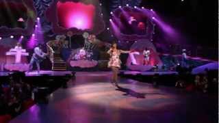 Katy Perry - Hummingbird Heartbeat - Live - Part of Me 3D