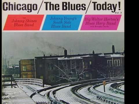 Johnny Shines -- Black Spider Blues (Big Walter Horton on Harp)