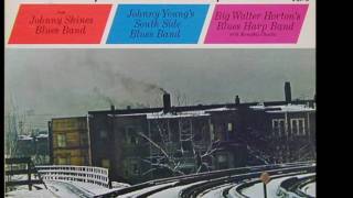 Johnny Shines -- Black Spider Blues (Big Walter Horton on Harp)