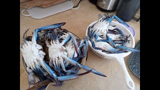 Come cucinare il Granchio blu