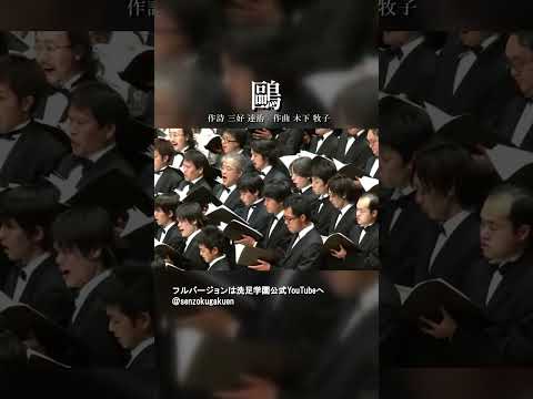 鷗